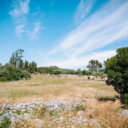 Casas De Pedra - Quinta Da Escola Alvados