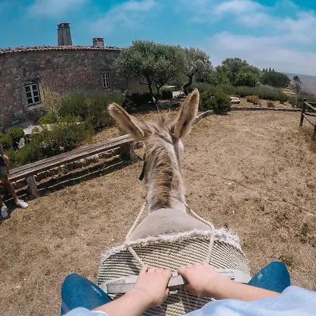 Casas De Pedra - Quinta Da Escola Farm stay
