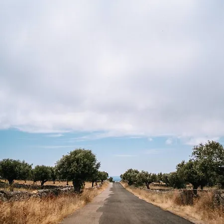 Casas De Pedra - Quinta Da Escola Farm stay Alvados