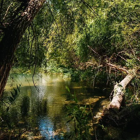 Κατάλυμα σε φάρμα Casas De Pedra - Quinta Da Escola Alvados