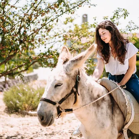 Alojamento de Turismo Rural Casas De Pedra - Quinta Da Escola *