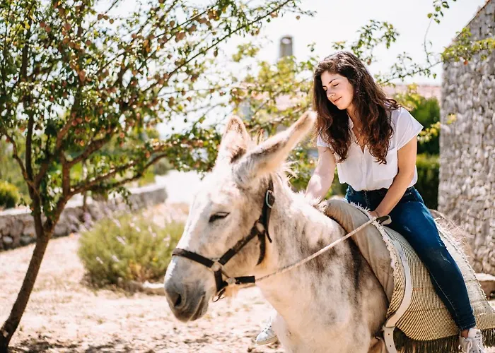 农家乐 Casas De Pedra - Quinta Da Escola *